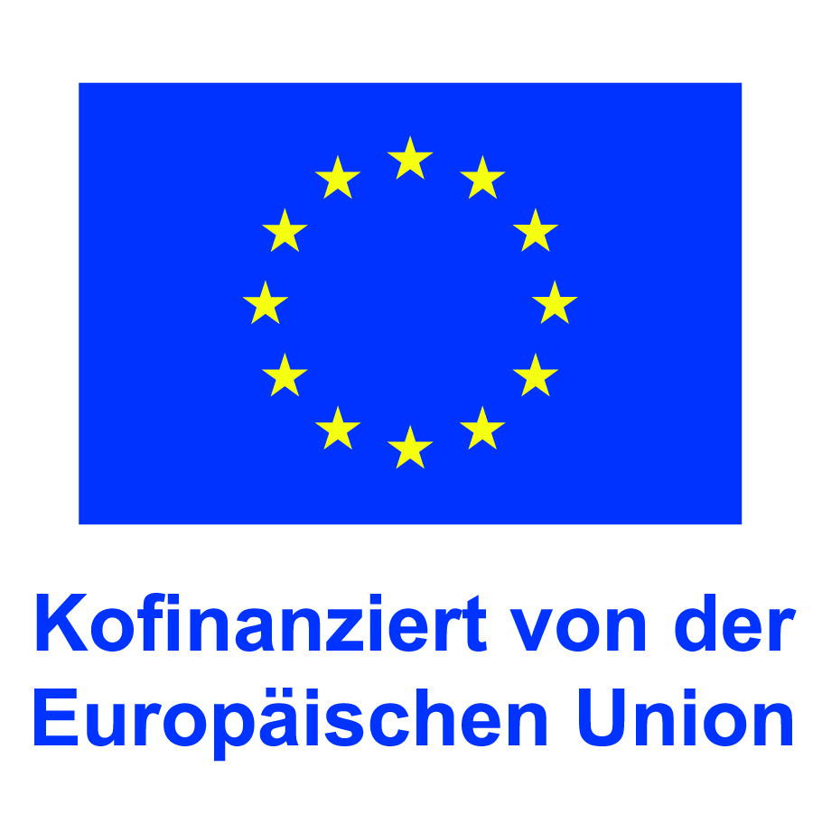 Logo des Europäischen Sozialfonds